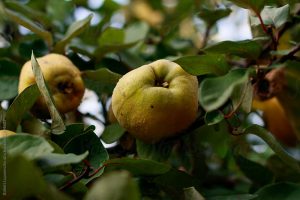 Collaboration is critical